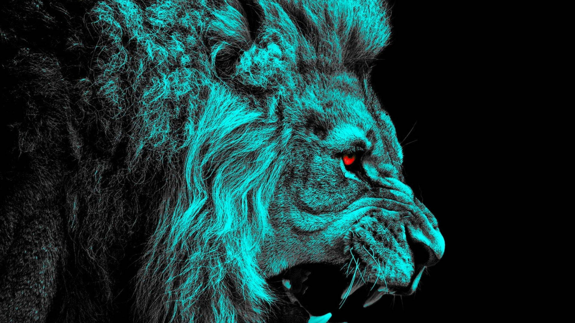 Angry Lion Wallpaper