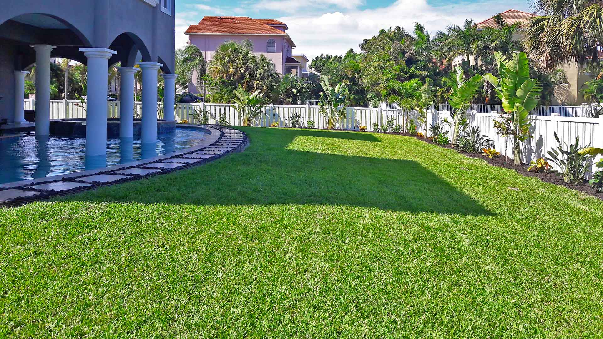 Creating a tropical backyard landscape for a pool home in St Pete