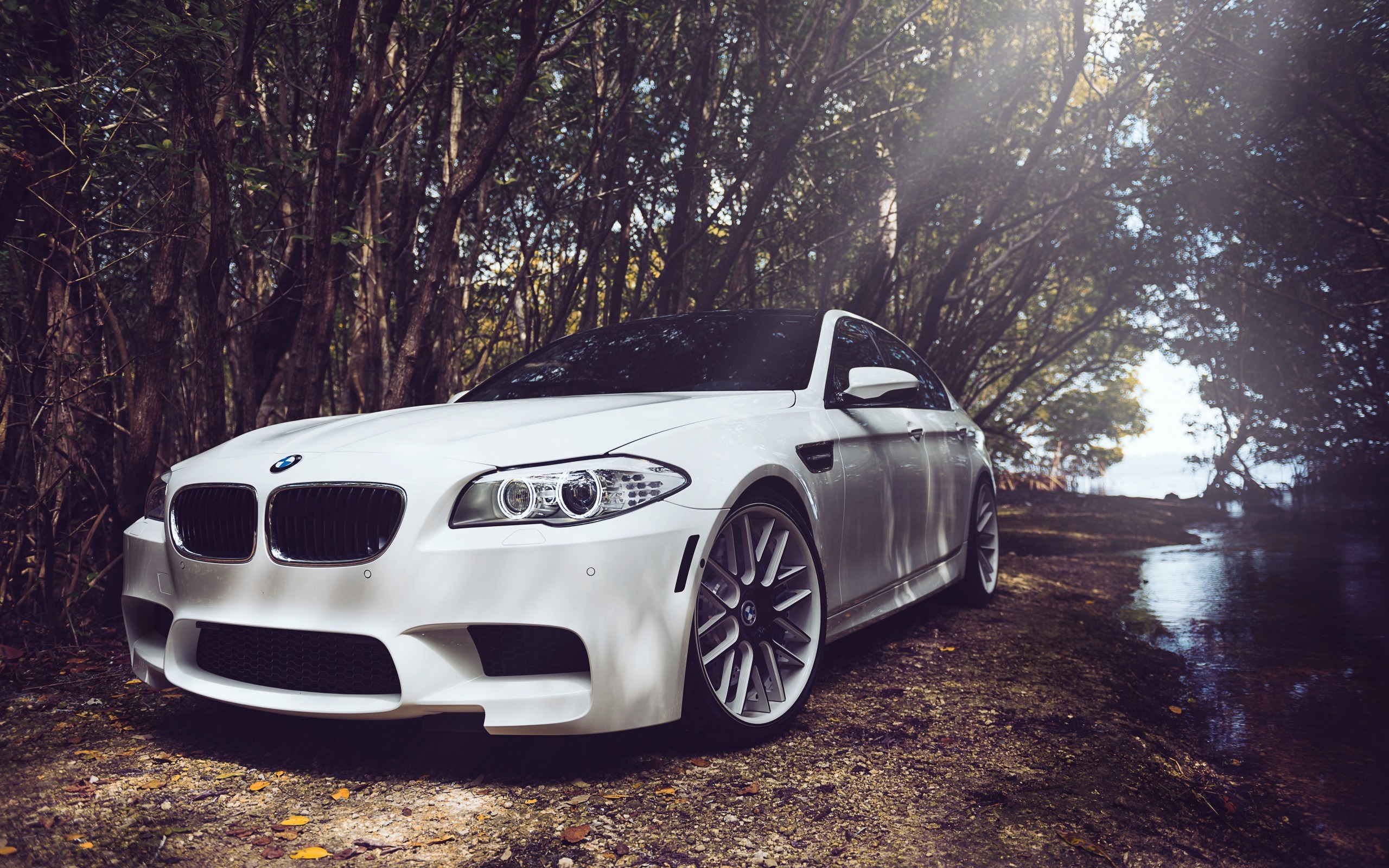 White BMW M5 parked on a dirt road near a forest and body of water