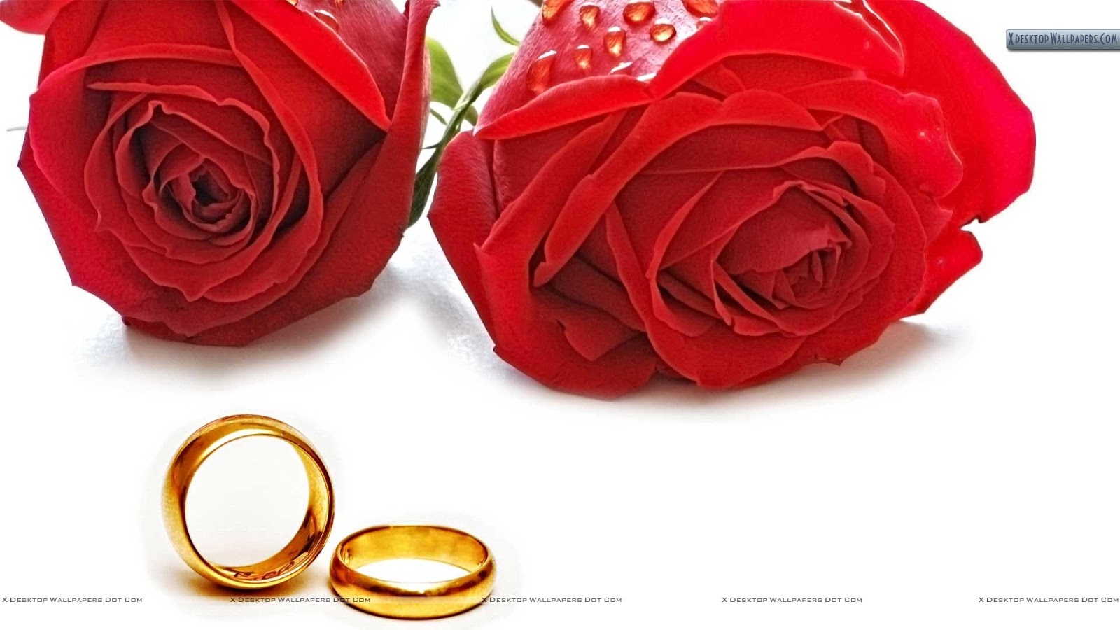Wedding Ring Wallpaper