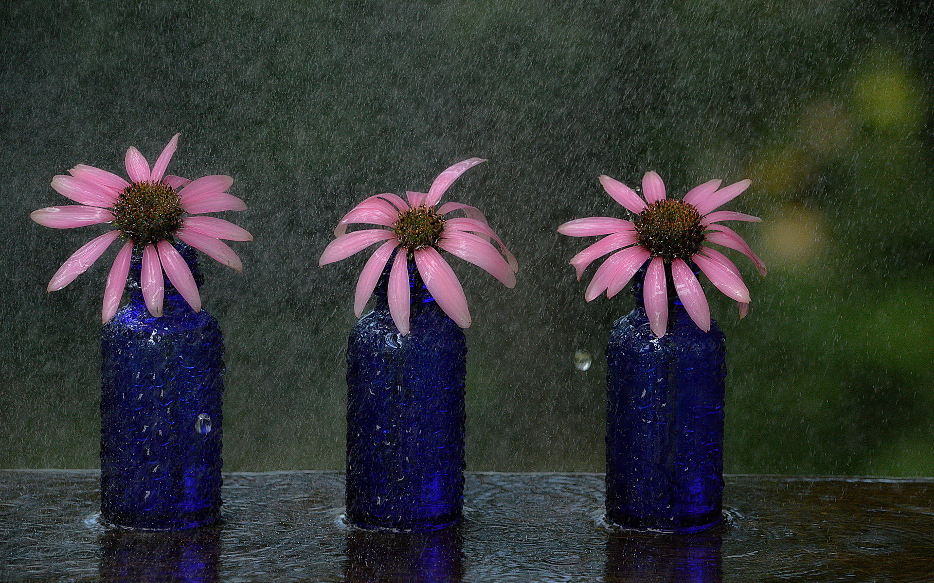Flower Vase Wallpaper In Psd