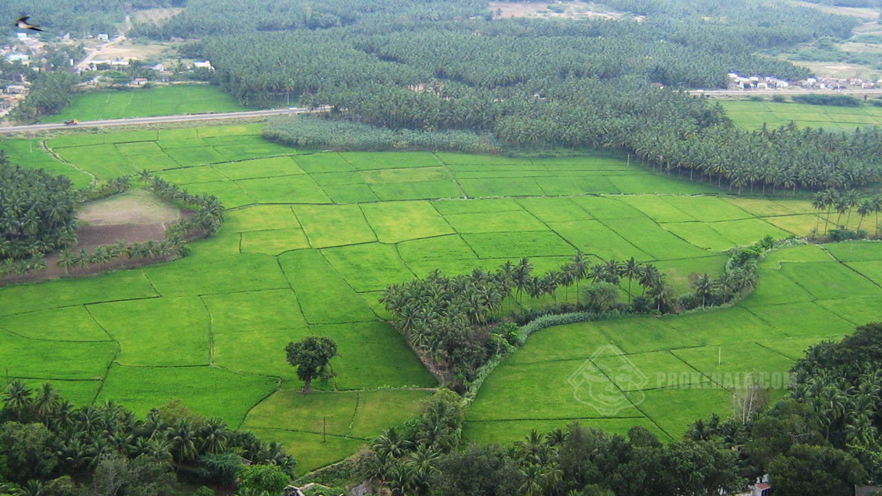 Home S Wallpaper Paddy Fields Arial