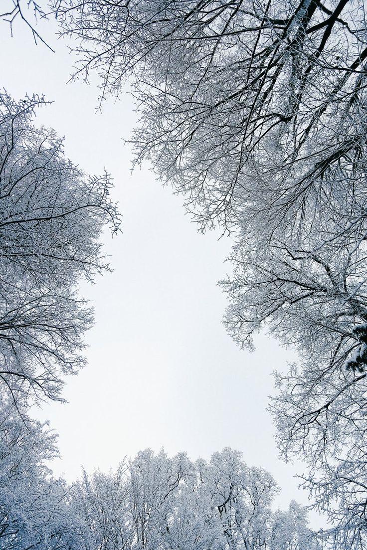 Beautiful Winter Wallpaper For iPhone That You Ll Love