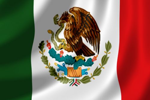 Mexican Flag Select Your Device Phone Apple iPhone