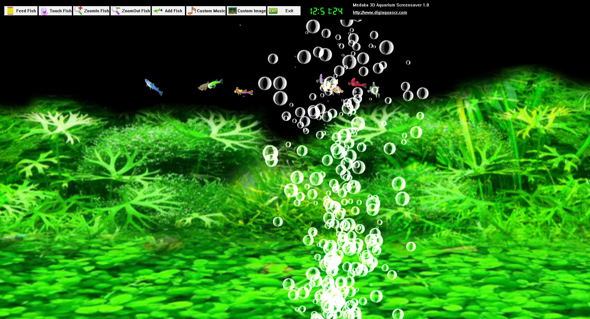 Medaka 3d Aquarium Screensaver Screenshot