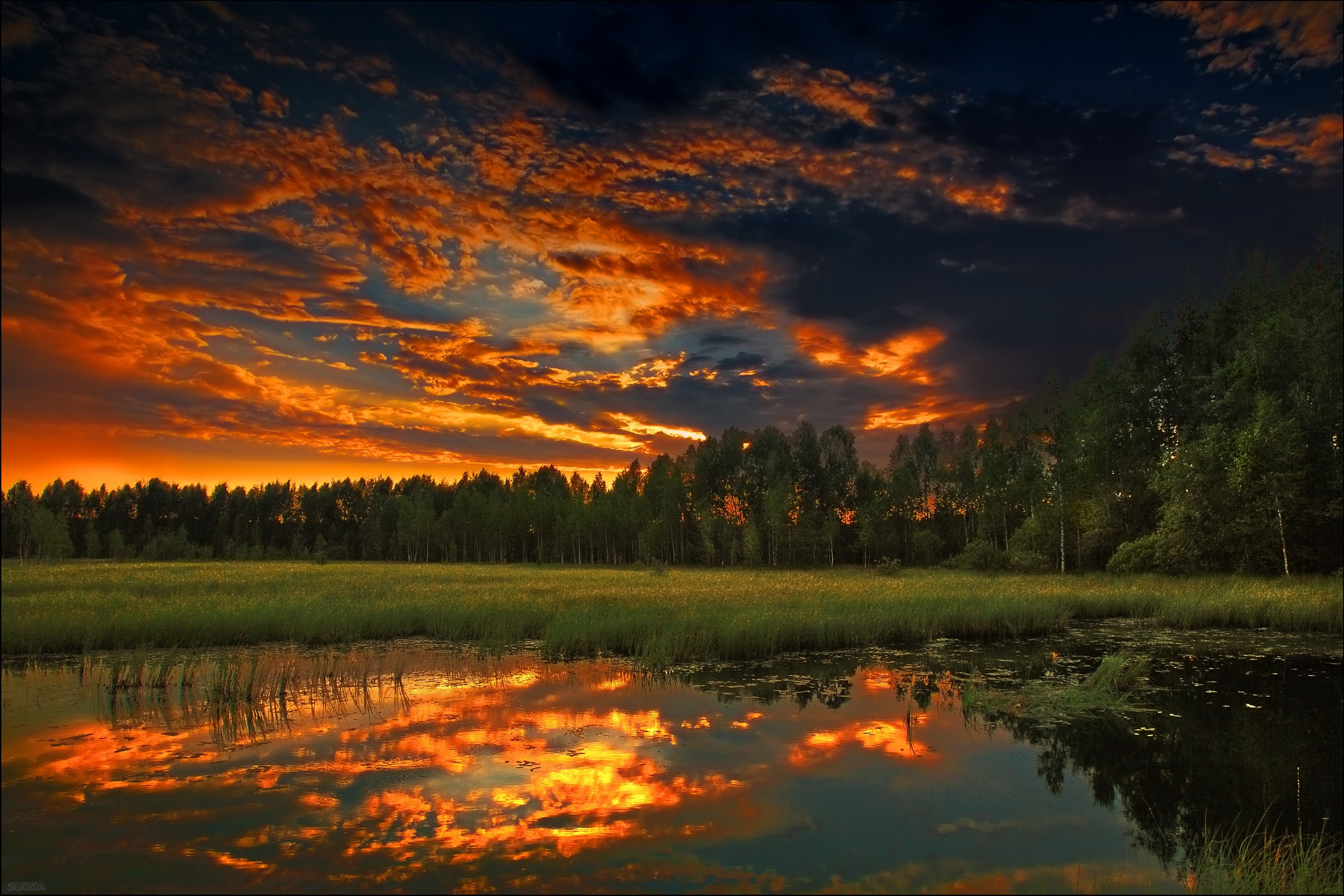 Nature Landscape Trees River Clouds Photography Grass Sunset Wallpaper HD