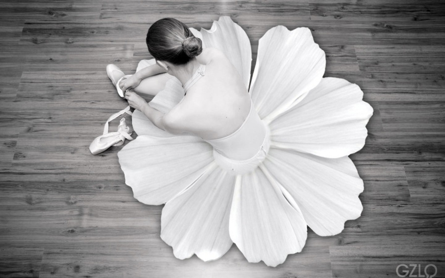 Ballet Wallpaper Flowers Monochrome Dancers