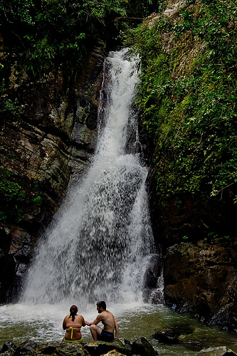 Puerto Rico El Yunque Flickr   Photo Sharing
