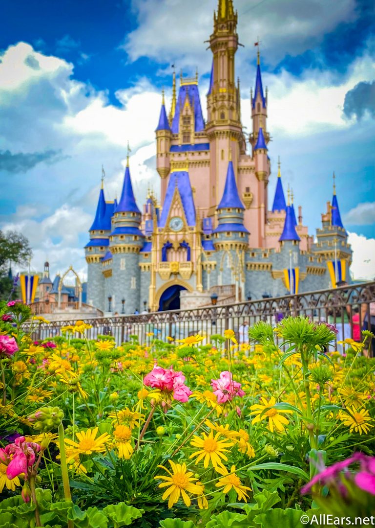 Stunning Disney World Wallpaper To Bring The Magic Your
