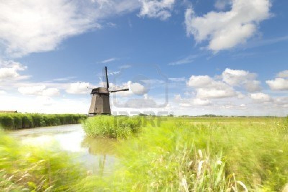 Dutch Windmill In Fresh Green Field Summer Wallpoop The
