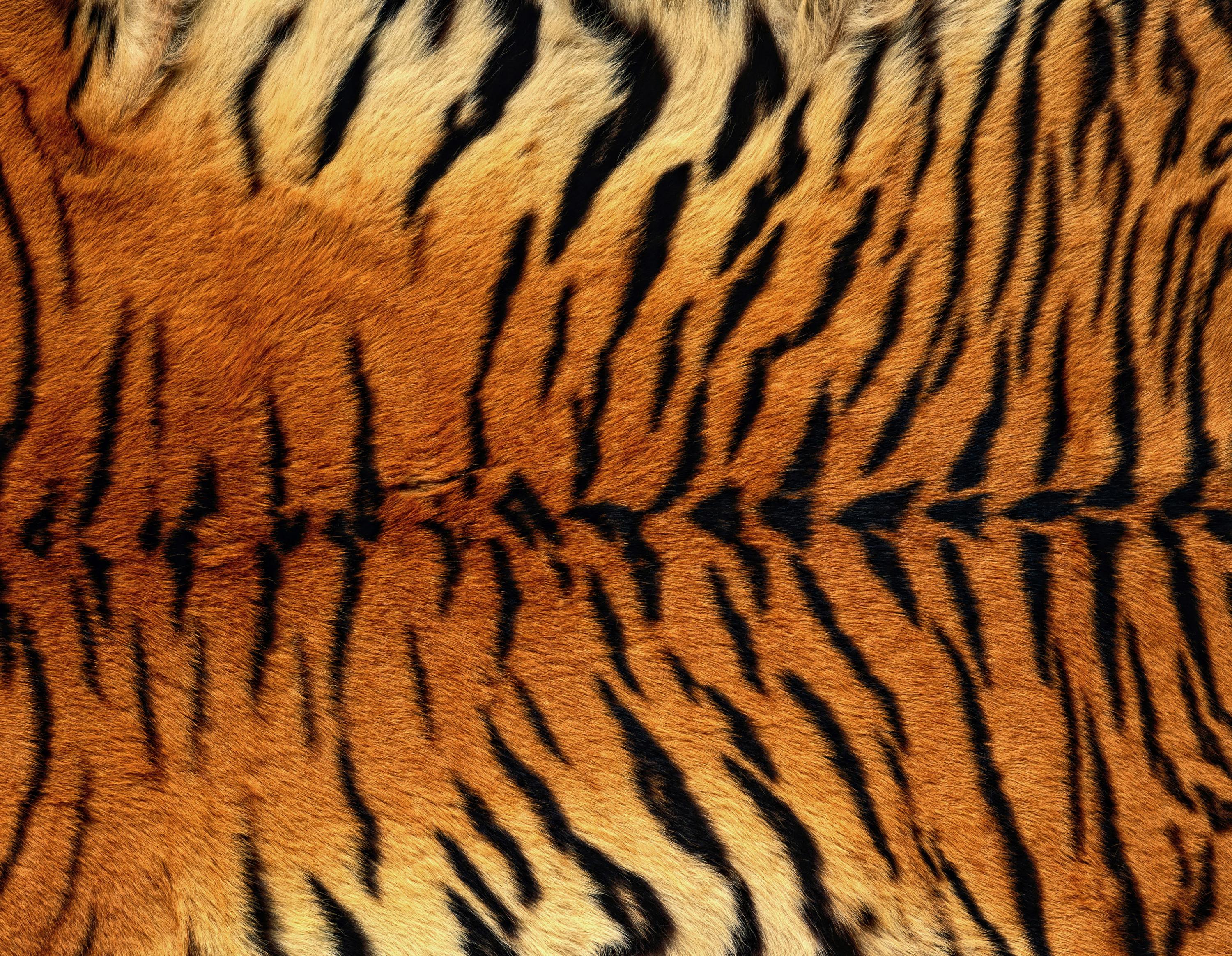 Tiger Skin Background Gallery Yopriceville High Quality