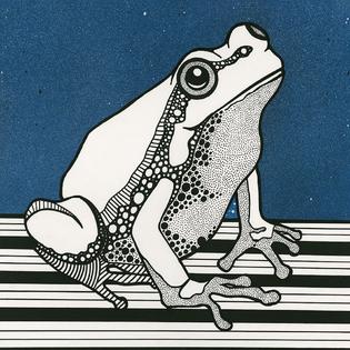 Alfonso Fabio Pop Frog In Black And White On Blue Background