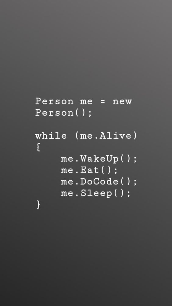 Web Development Services At Astral Informatics Programmers Life