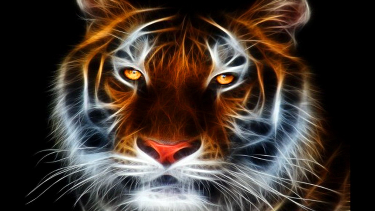 Tiger HD Wallpaper Handsome Abstract Animated