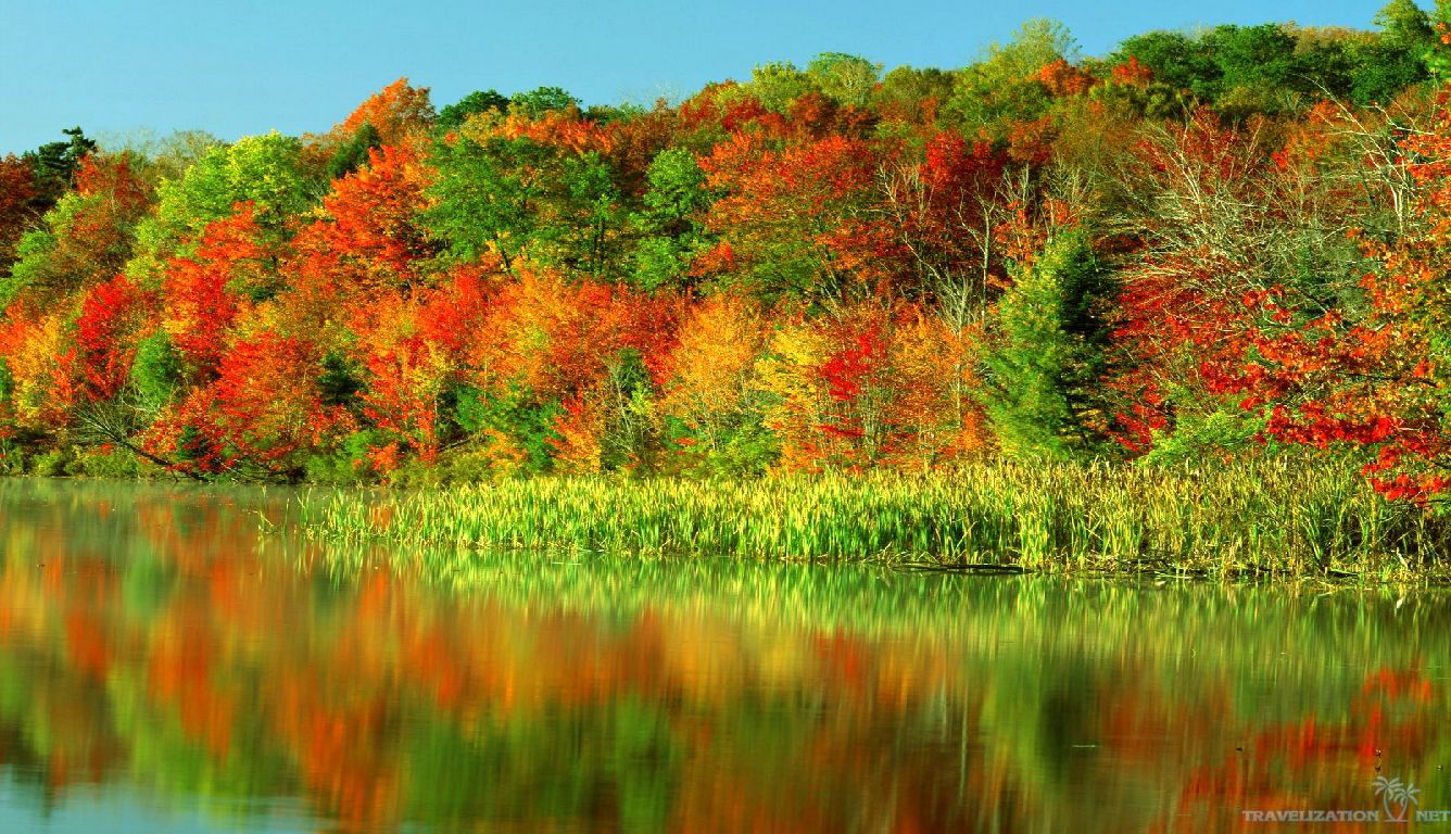 Beauty Autumn Colors Wallpaper IwallHD HD