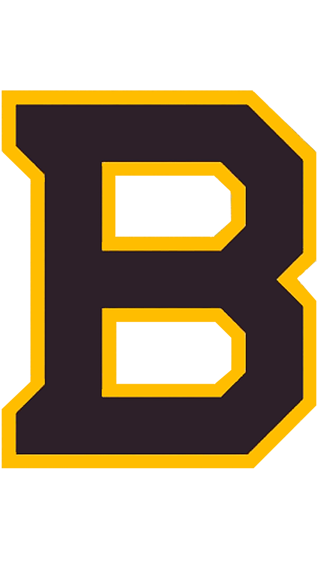 Boston Bruins Nhl iPhone Background