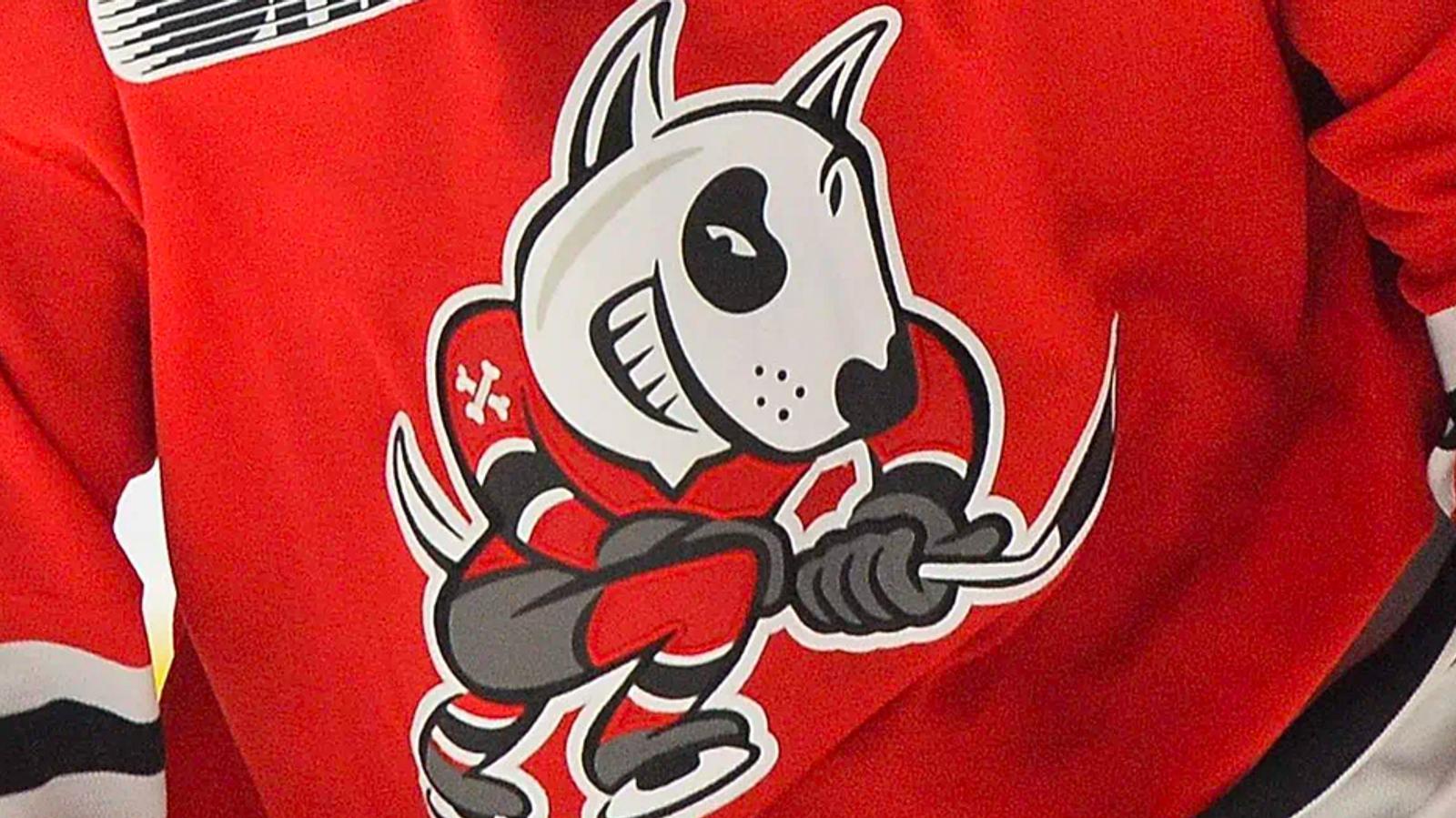 OHLs IceDogs owners disgraced after alleged misconduct reports