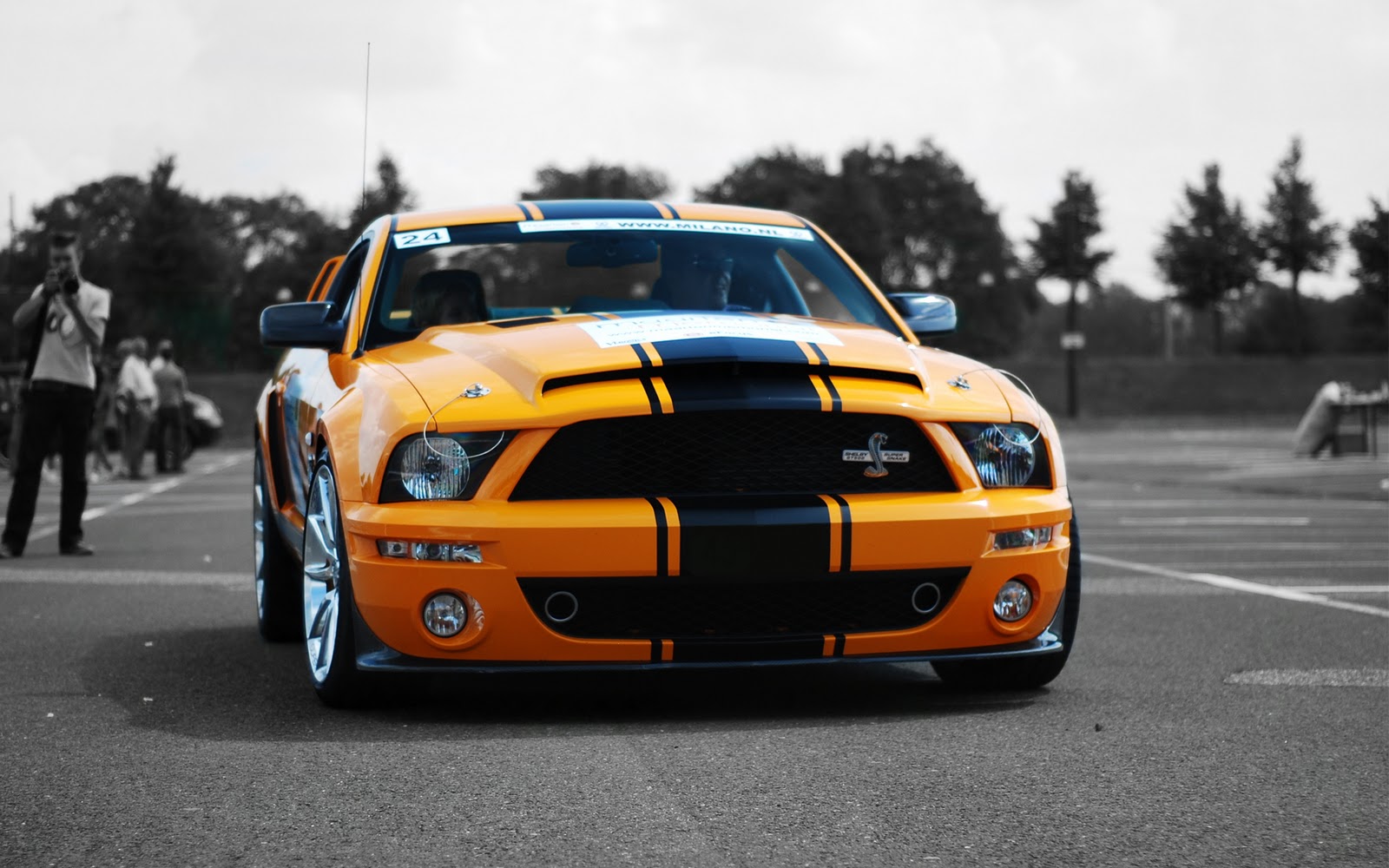 Ford Mustang Shelby Gt500 Wallpaper The Database