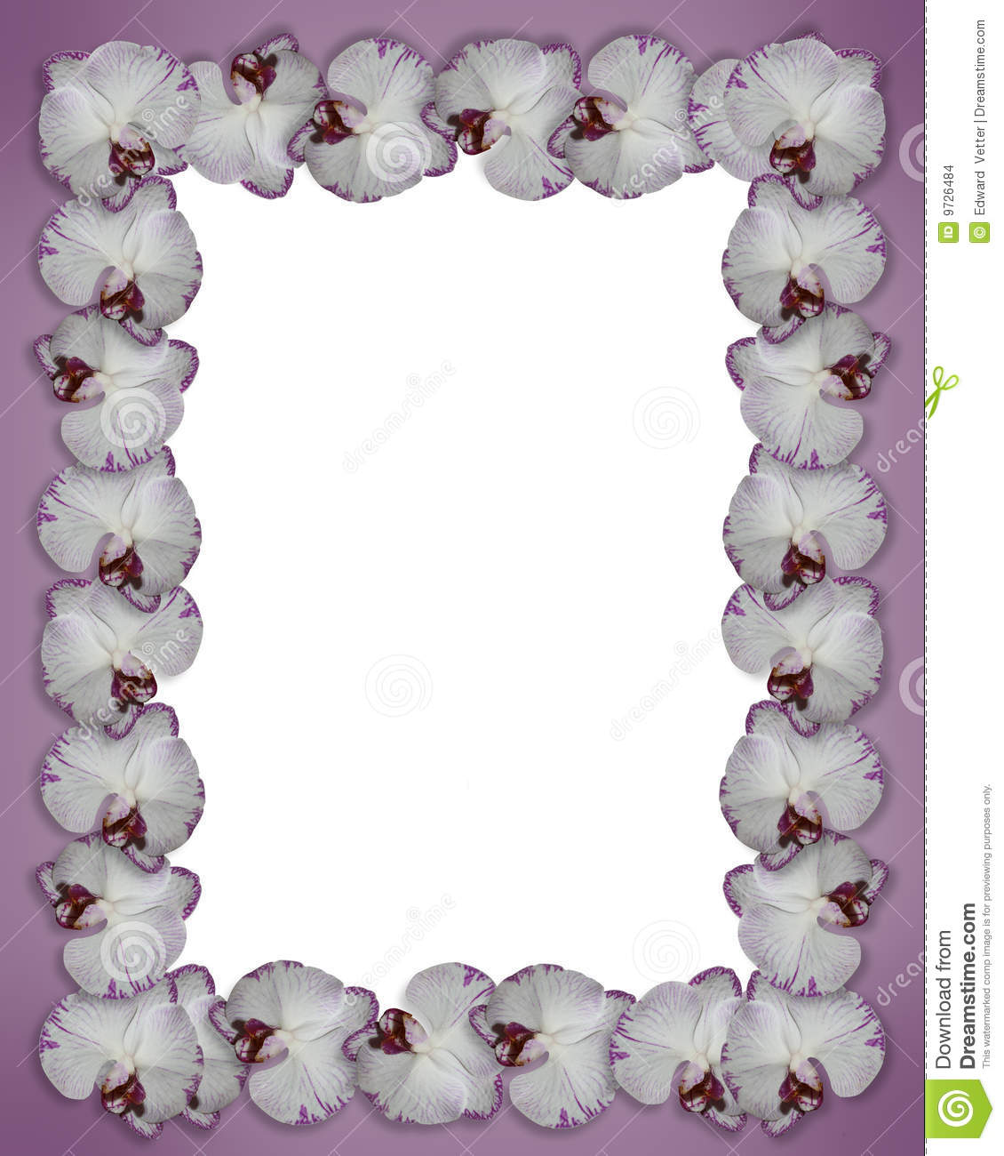 Stock Illustration 50th Anniversary Border Orchids Clipart