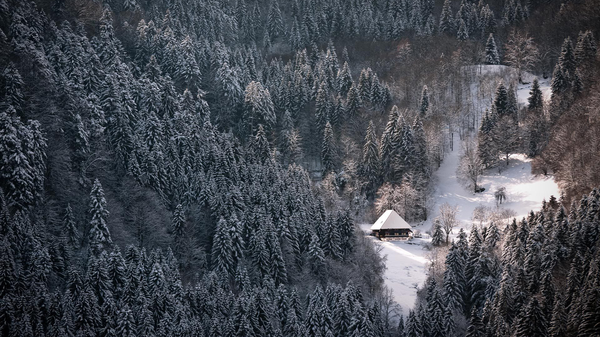 Top Black Forest Schwarzwald Snowy Winter Wallpaper