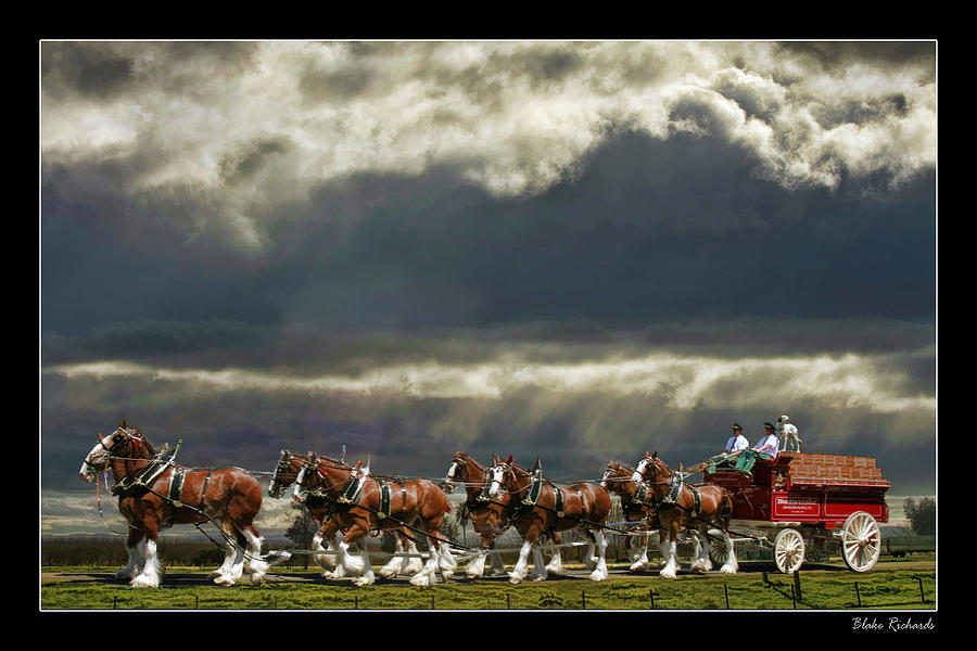 Pin Budweiser Clydesdales At The Wisconsin State Fair Travel Photos By