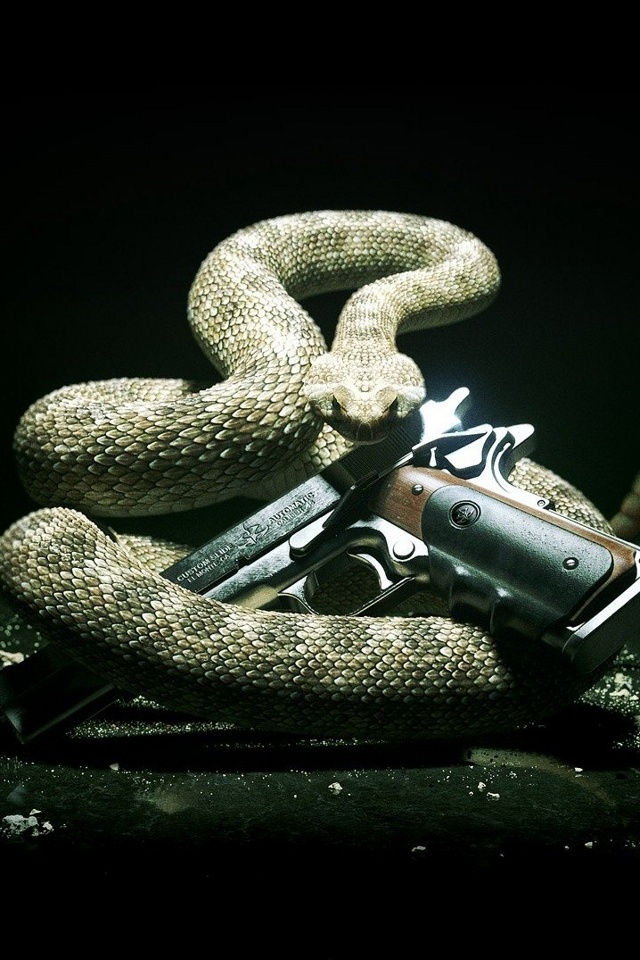 Wallpaper Snake Gun With Size Pixels For iPhone