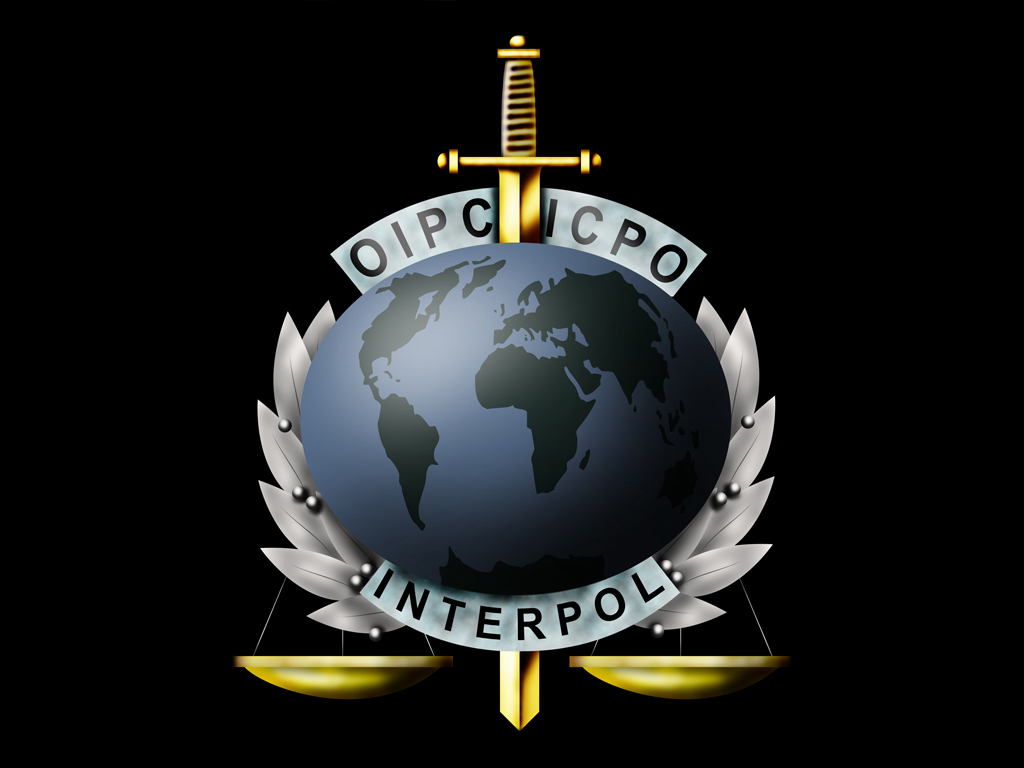 Operation Assange Anonymous Takes Down Interpol