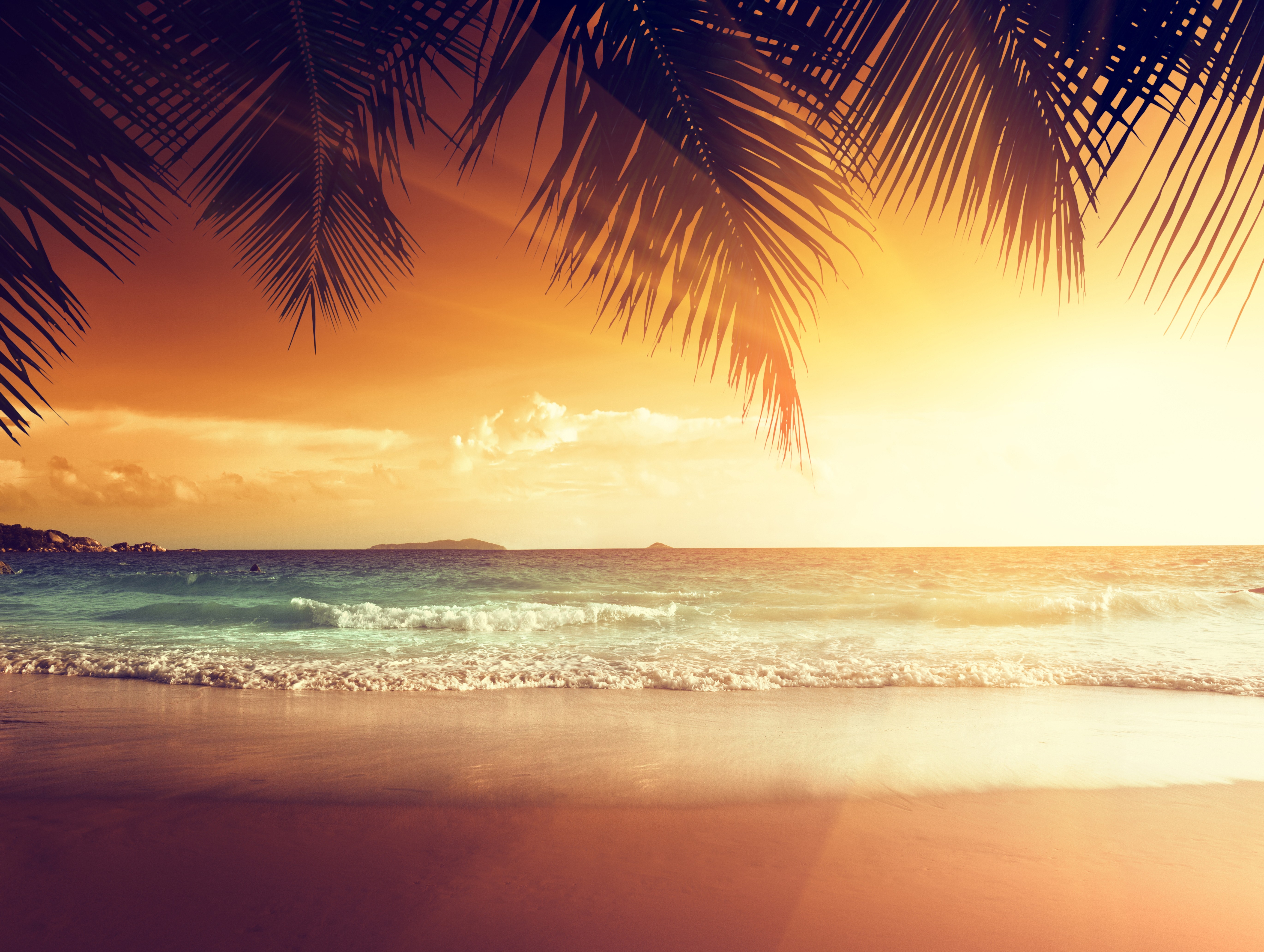 Wallpaper Tropical Sunset Beach Summer Palm Coast Sea Nature