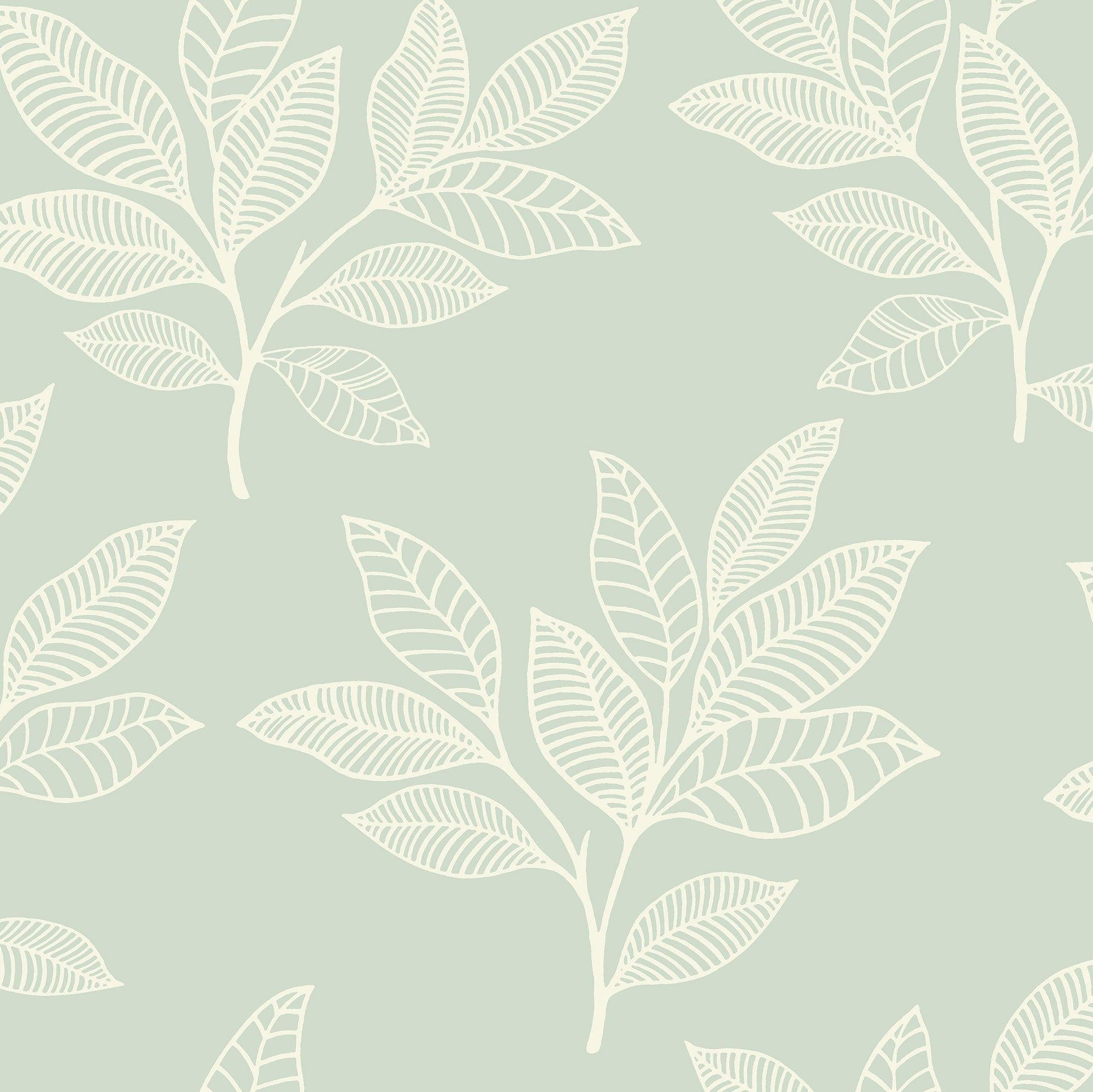 200 Sage Green Desktop Wallpapers  Wallpaperscom