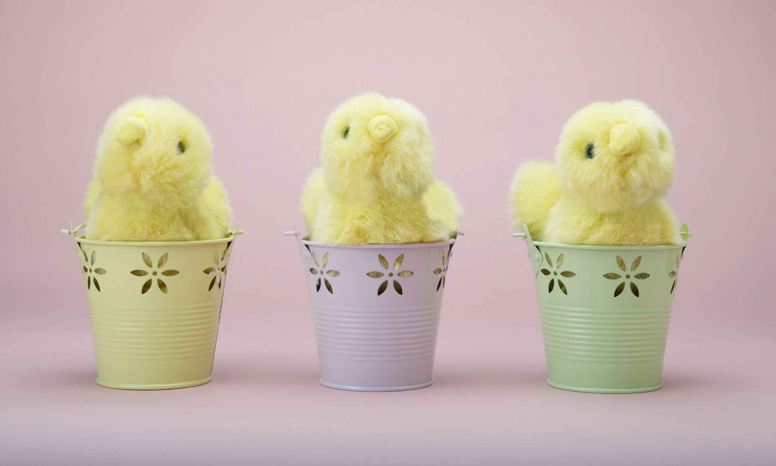 Cute Easter Chicks Wallpaper Cool Christian