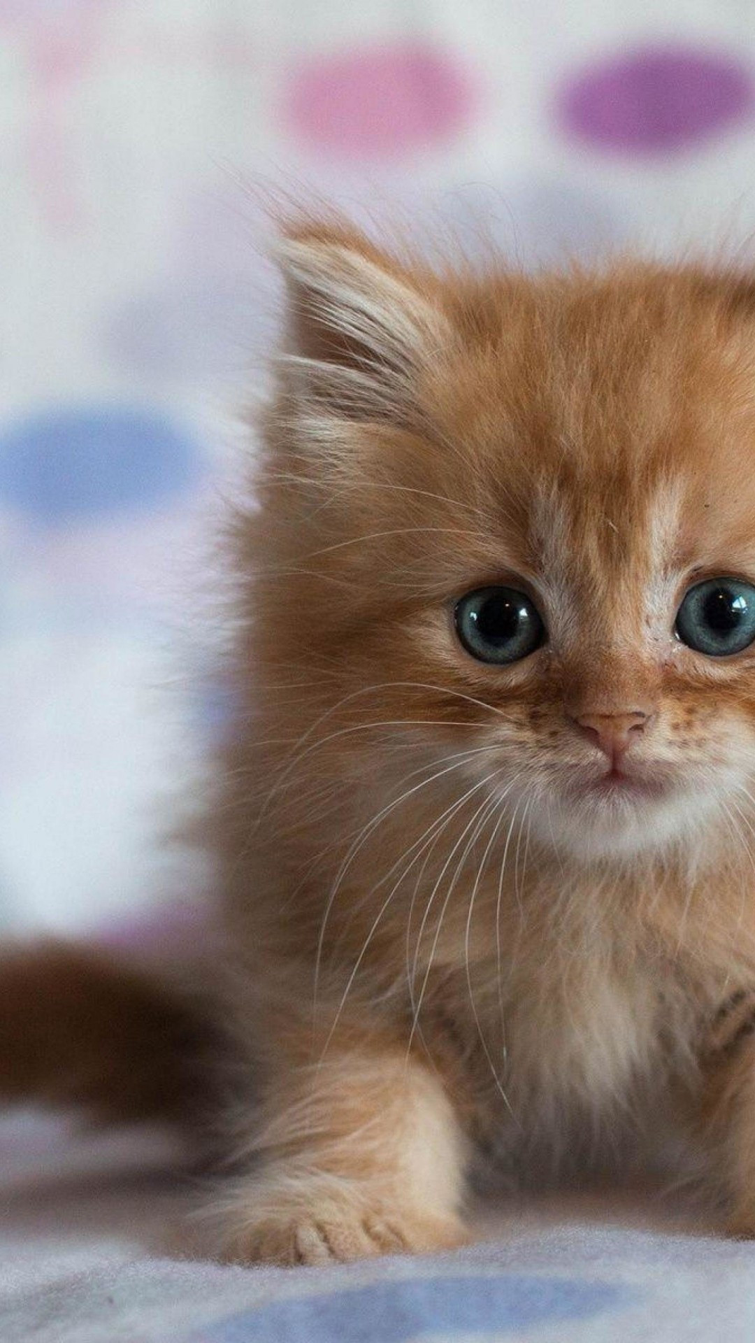 An adorable ginger kitten with captivating blue eyes, lying on a soft, pastel-colored blanket