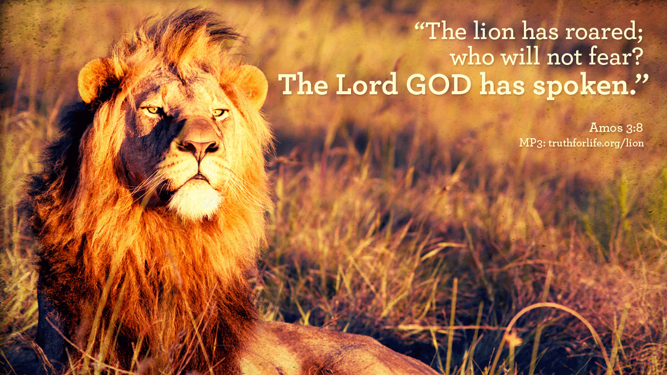 Wallpaper The lion has roared   Truth For Life