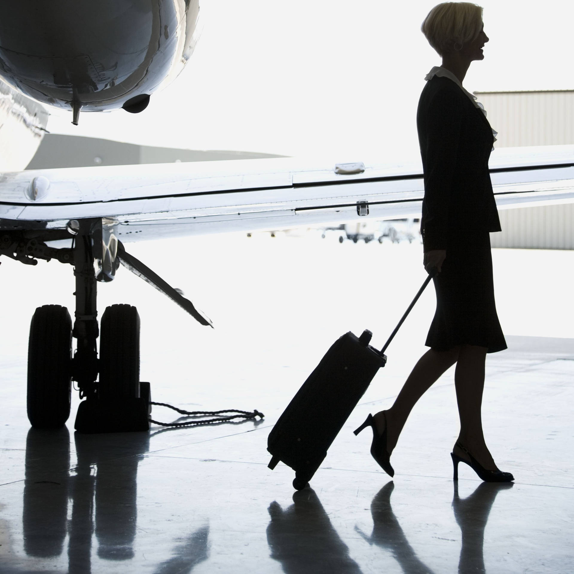 Flight Attendant Picture Wallpaper