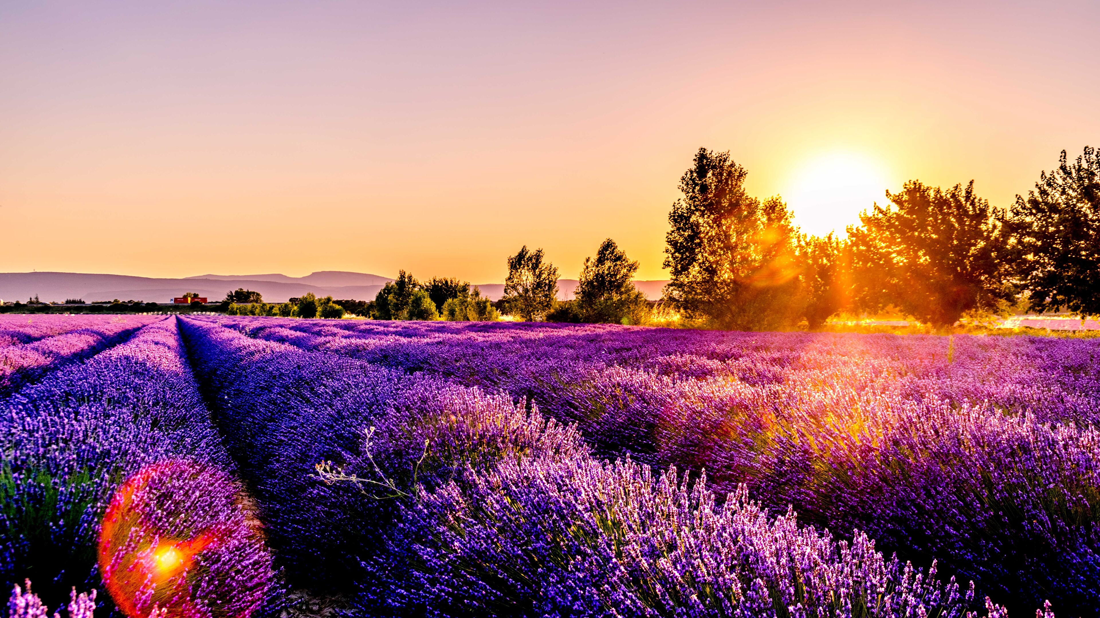 Sunset Over A Lavender Field Drome France 4k Wallpaper