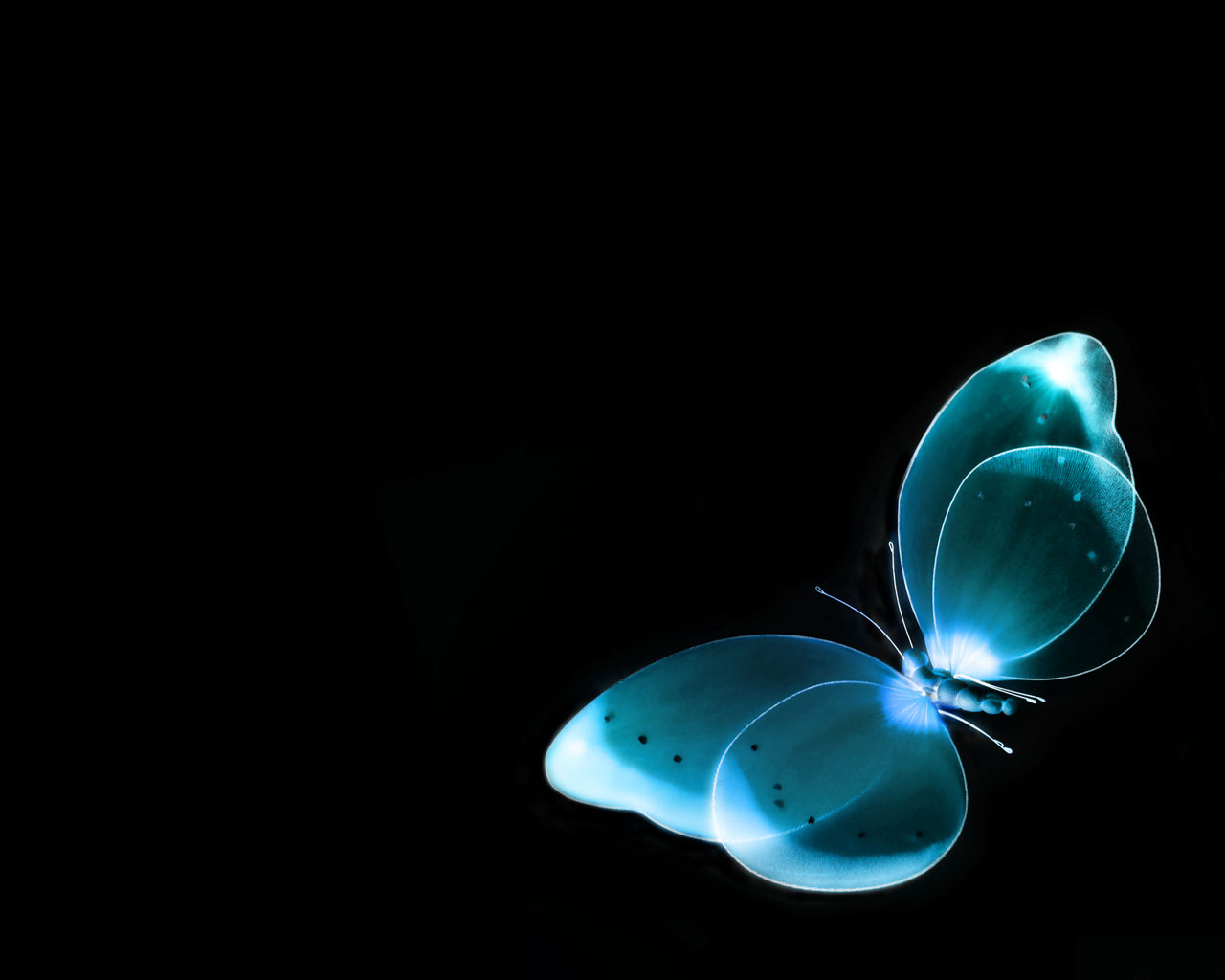 Blue Light Butterfly On Black Background Wallpaper For Desktop