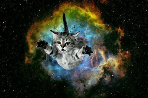 Galaxy Background More Cat Art Kitty Cats In