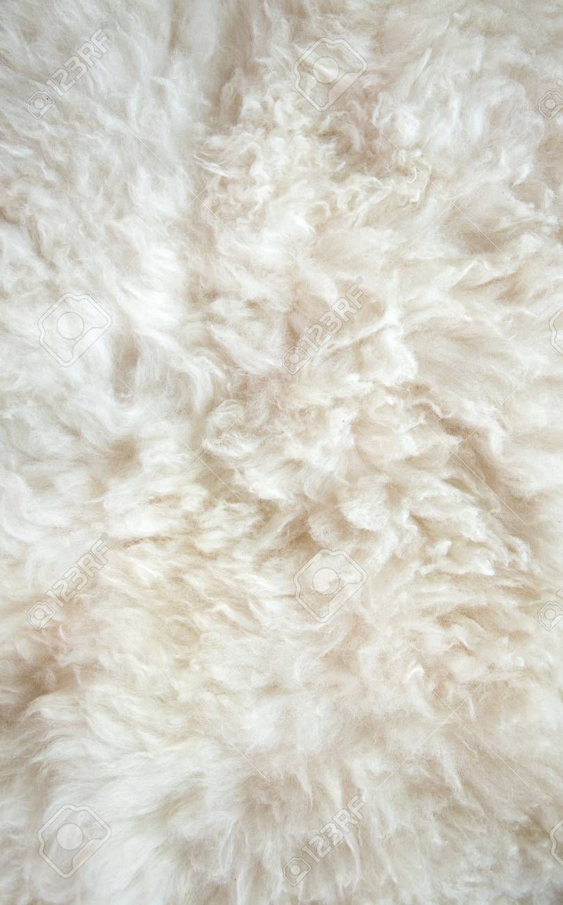 Sheep Wool Background Stock Photo Picture And Royalty Image