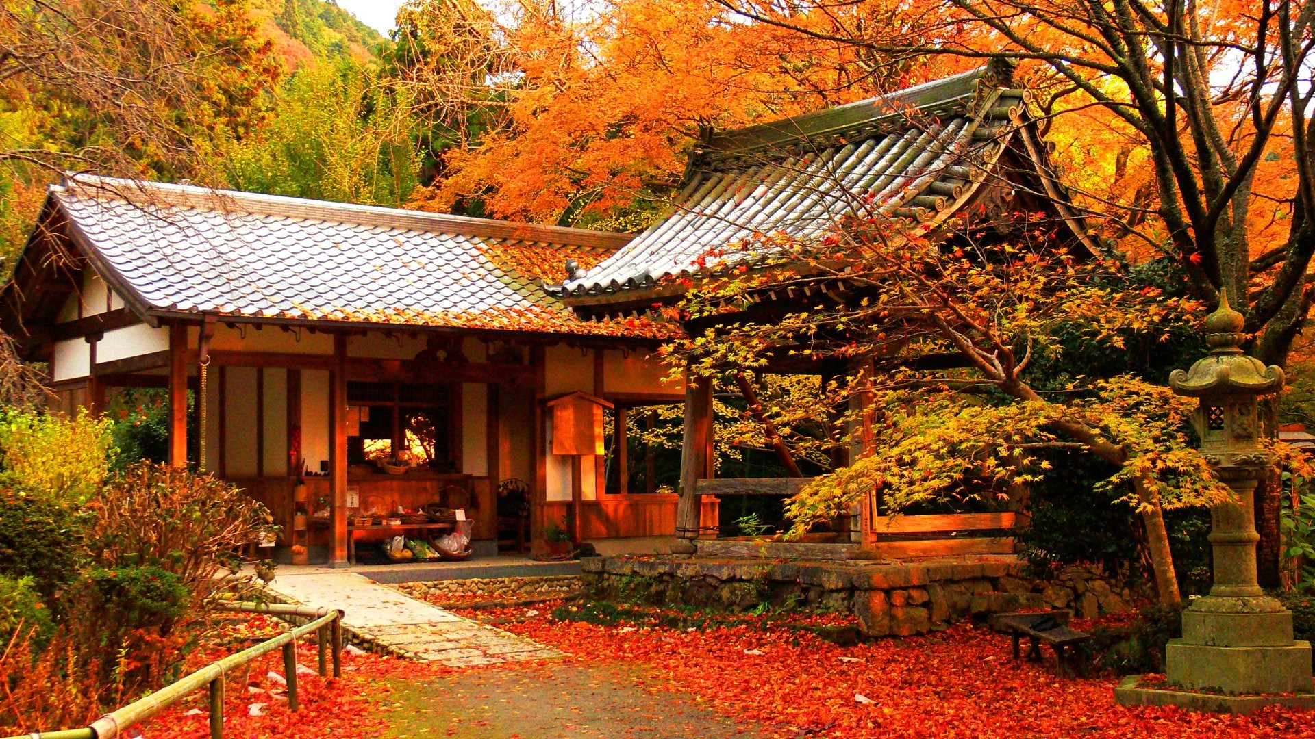 Autumn Color In Japan Wallpaper HD