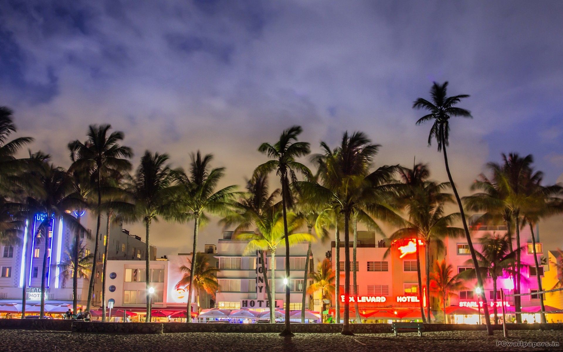 Miami Beach at night with palm trees and neon lights, Miami Wallpapers