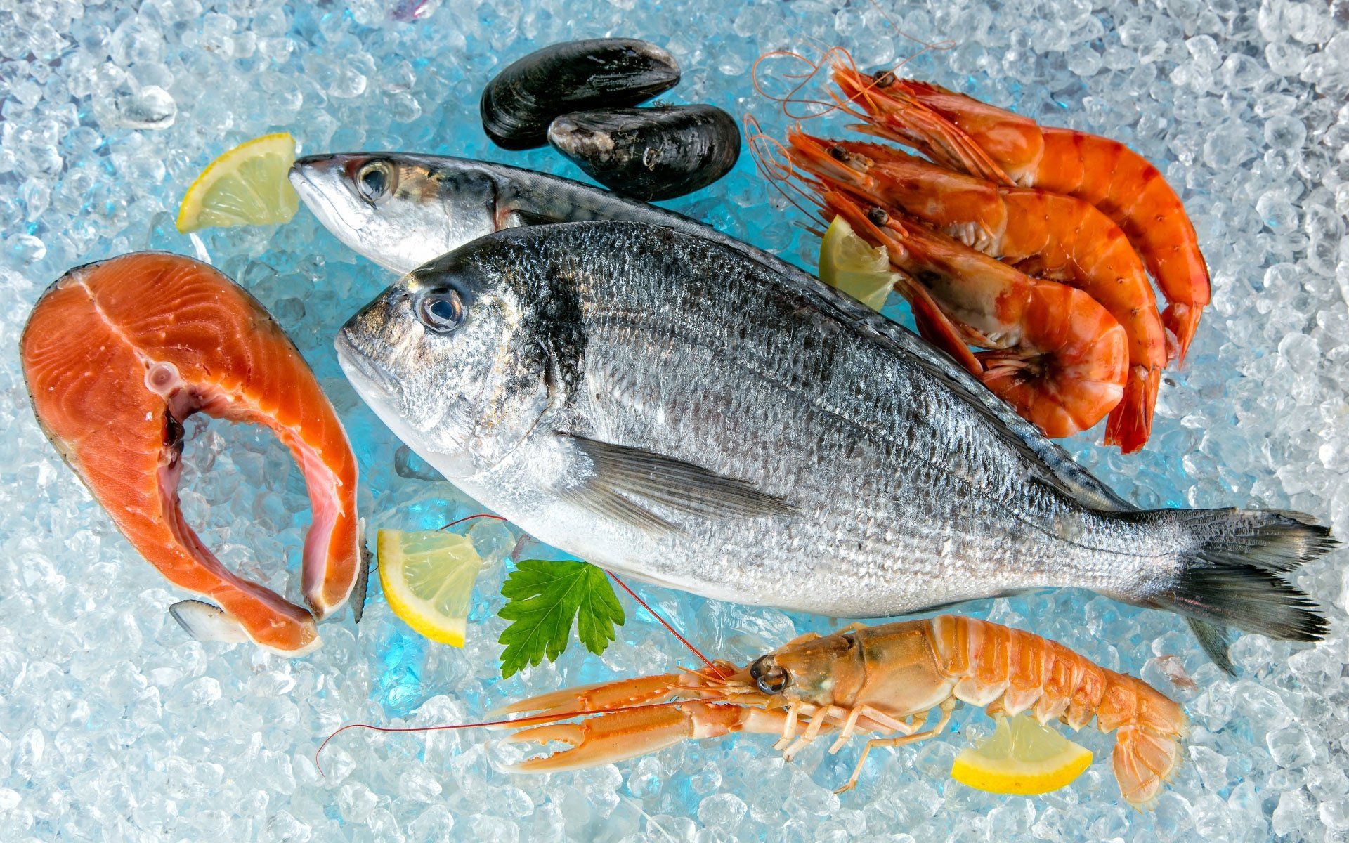 Seafood Wallpaper