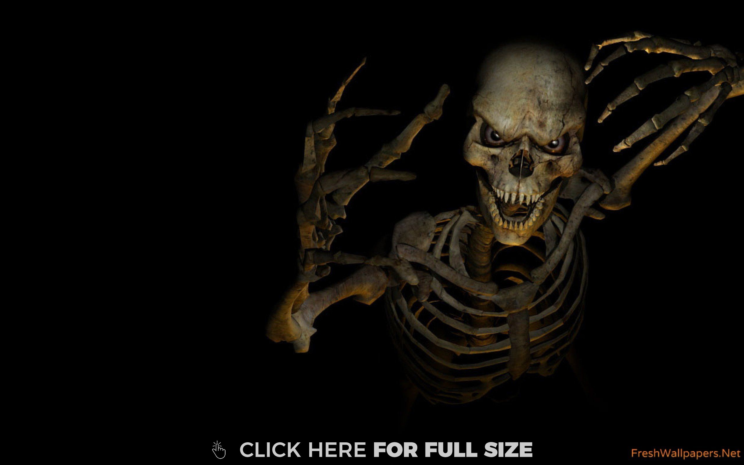 Cool Skeleton HD Wallpaper Skull