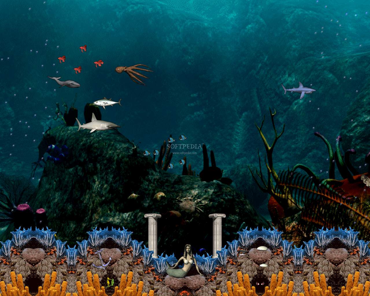 Tropical Aquarium Screensaver Softpedia