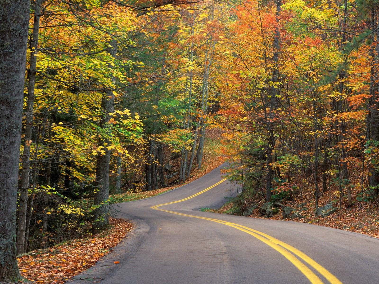 Top HD Autumn Wallpaper HDImageplus