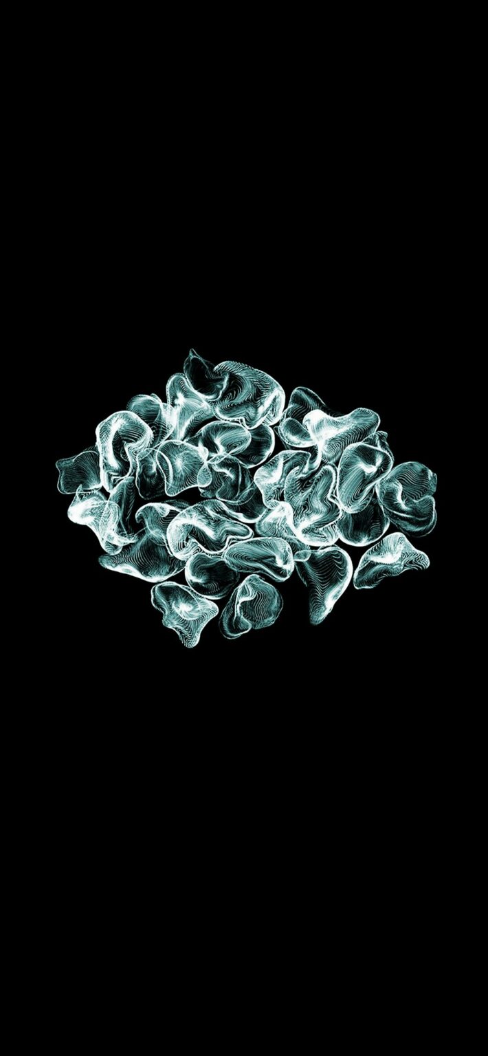 Wallpaper