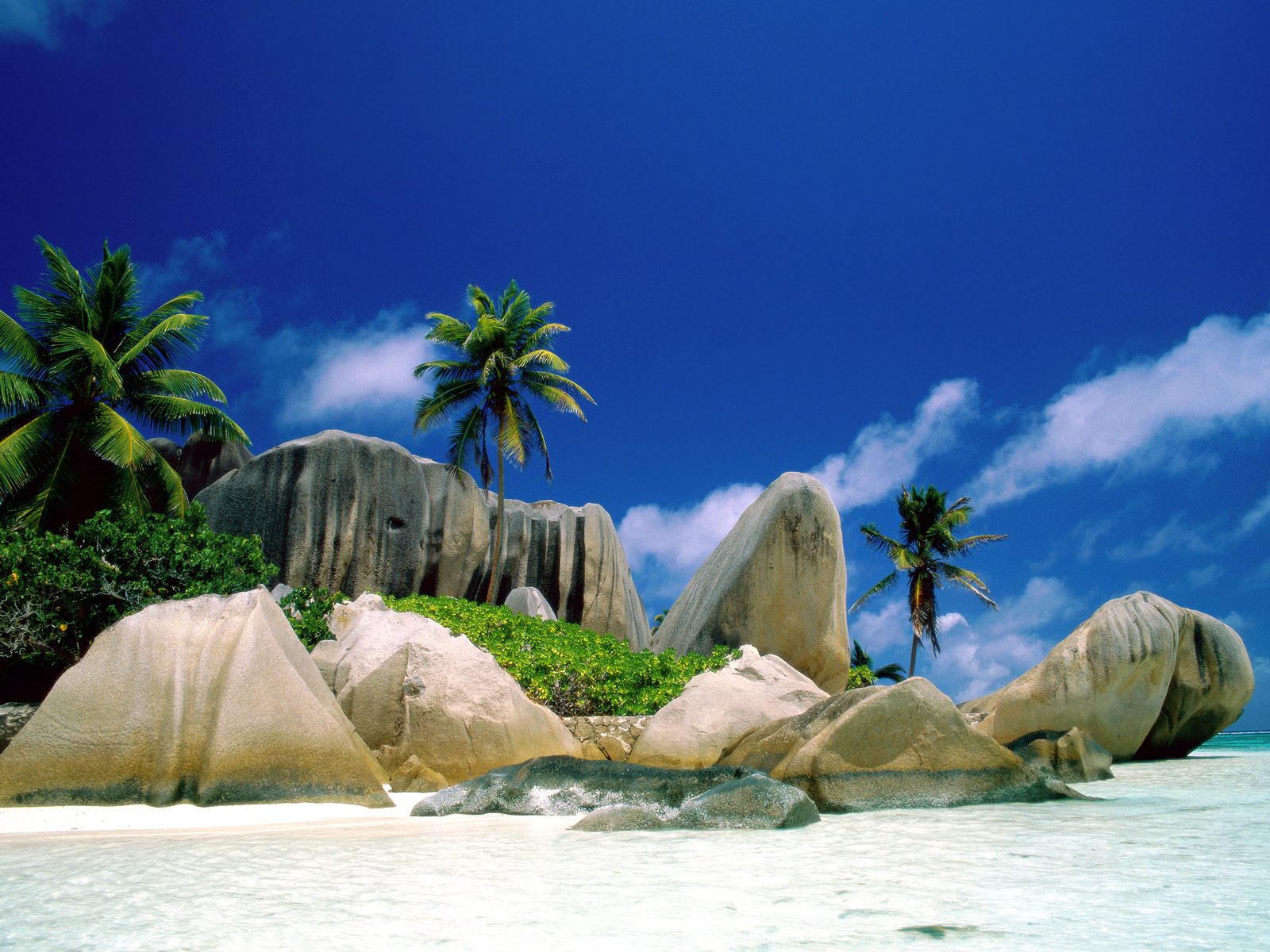 Seychelles Beach Hotels