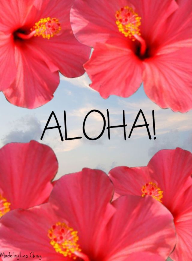 Aloha Wallpaper By Loz Gray