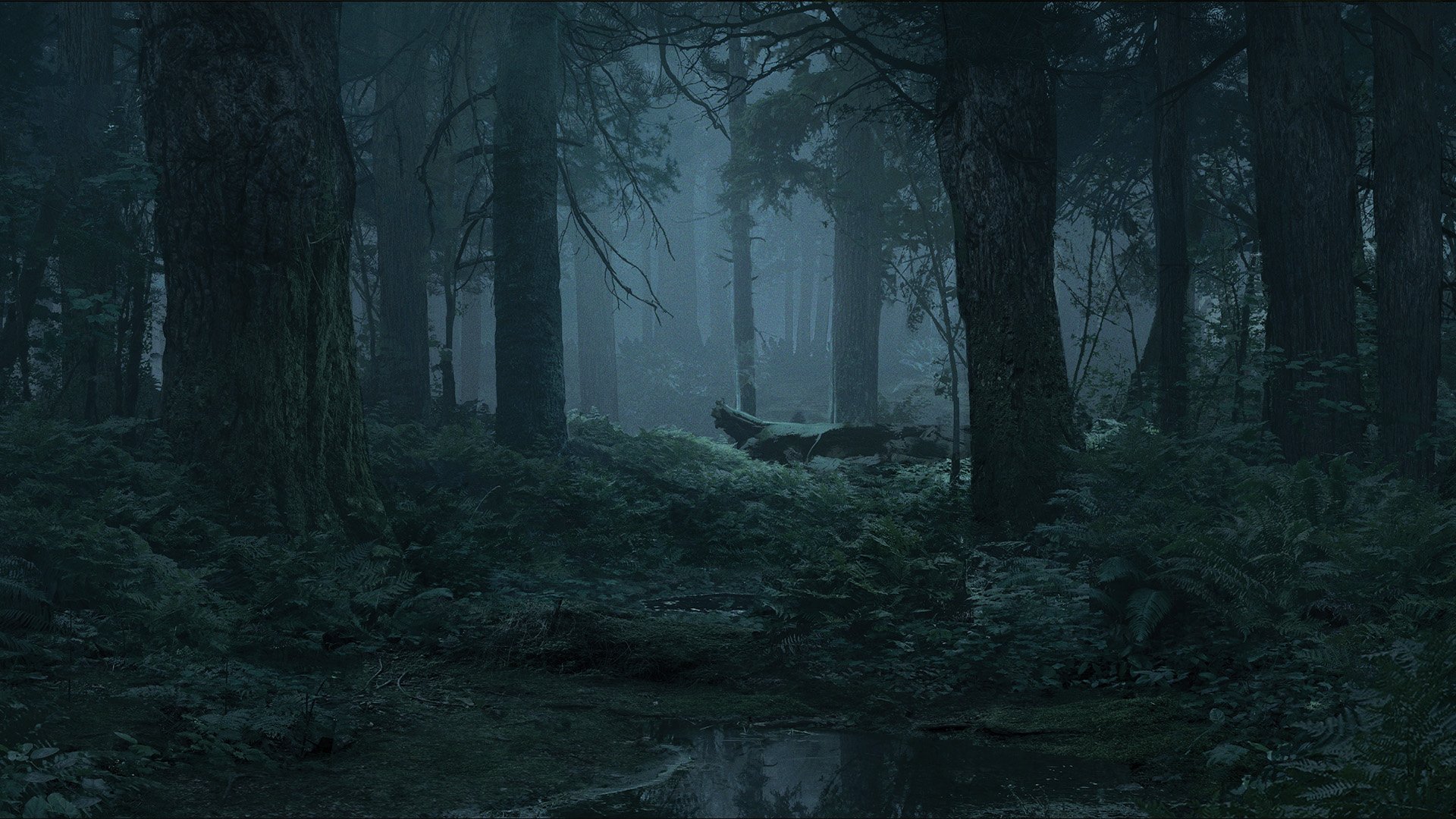 I Was Able To Extract The New Forest Background From Mondo