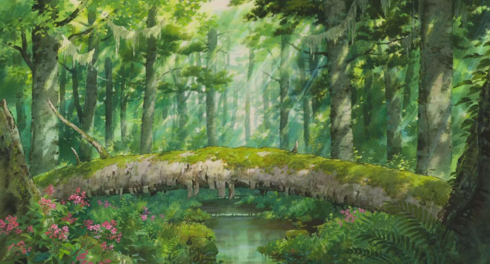 Environmental Concept Art Studio Ghibli Background Anime