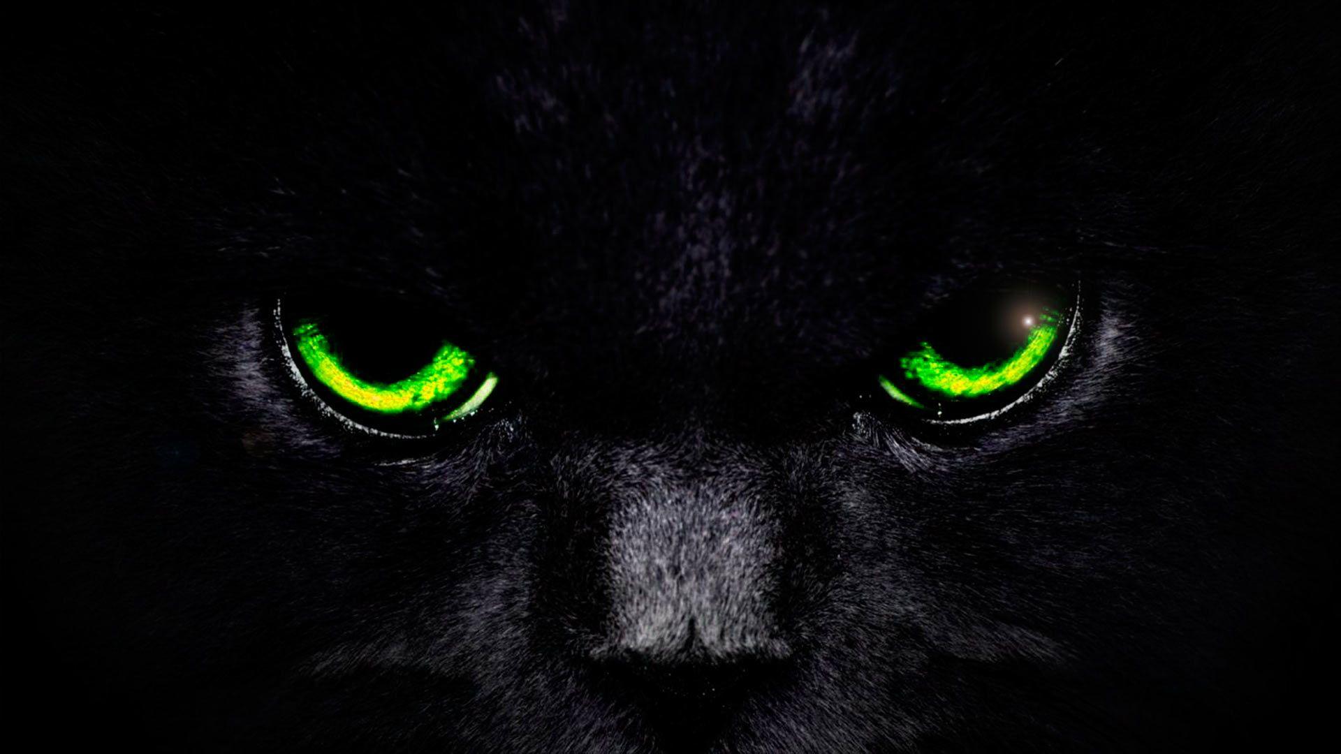 Eyes Wallpaper