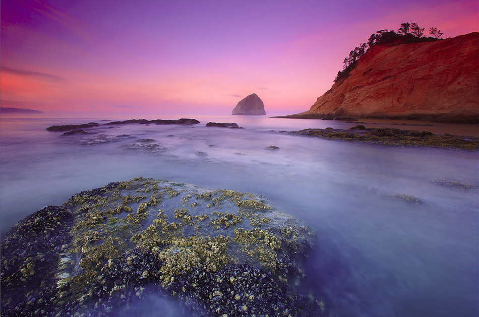 Pin Cape Kiwanda Oregon Wallpaper Open Walls